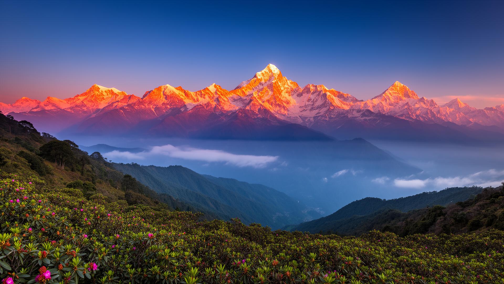 Kanchenjunga mountain range at sunrise from Singalila Ridge